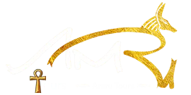 Amru Tours logo